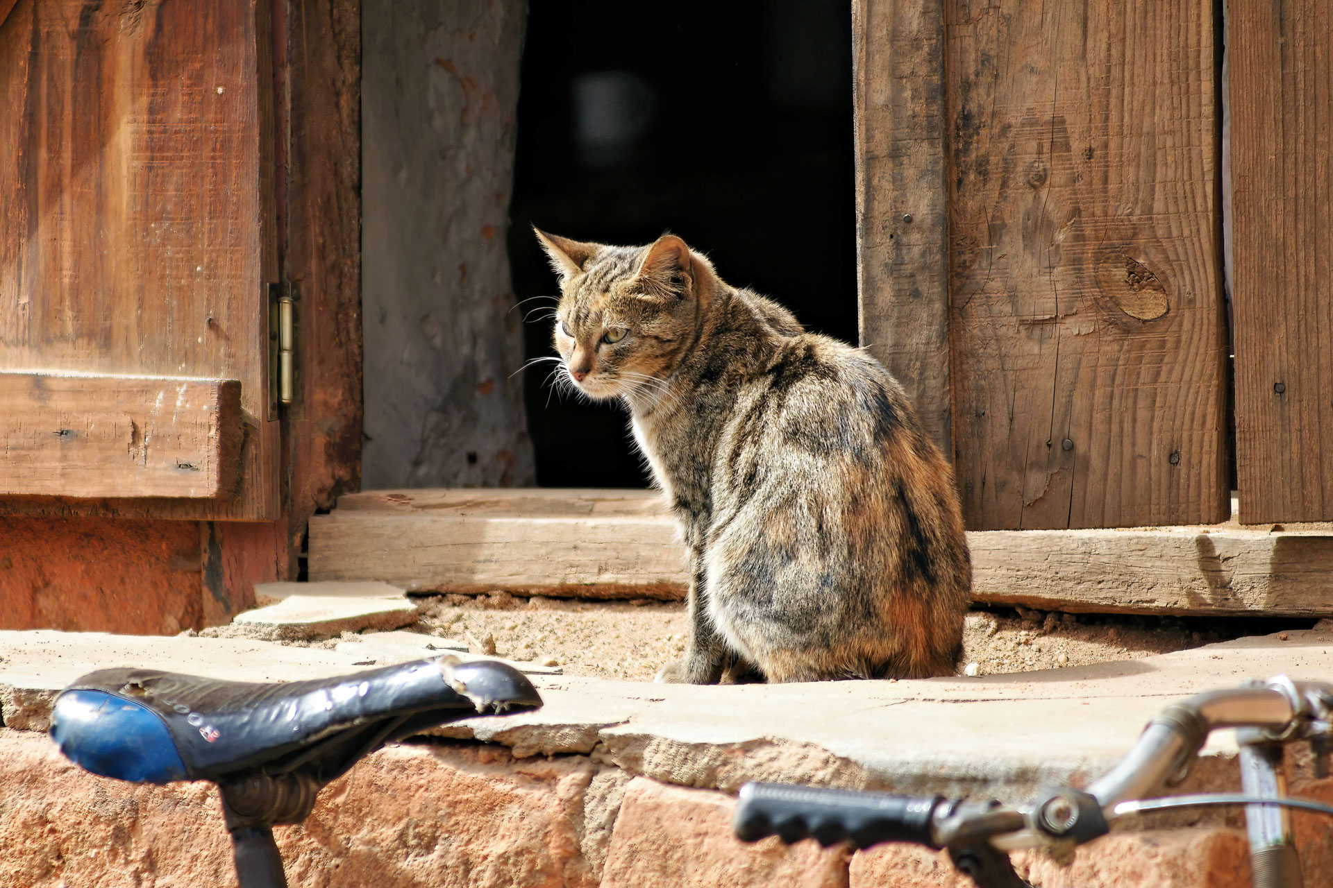 Markttag in Ambalavao